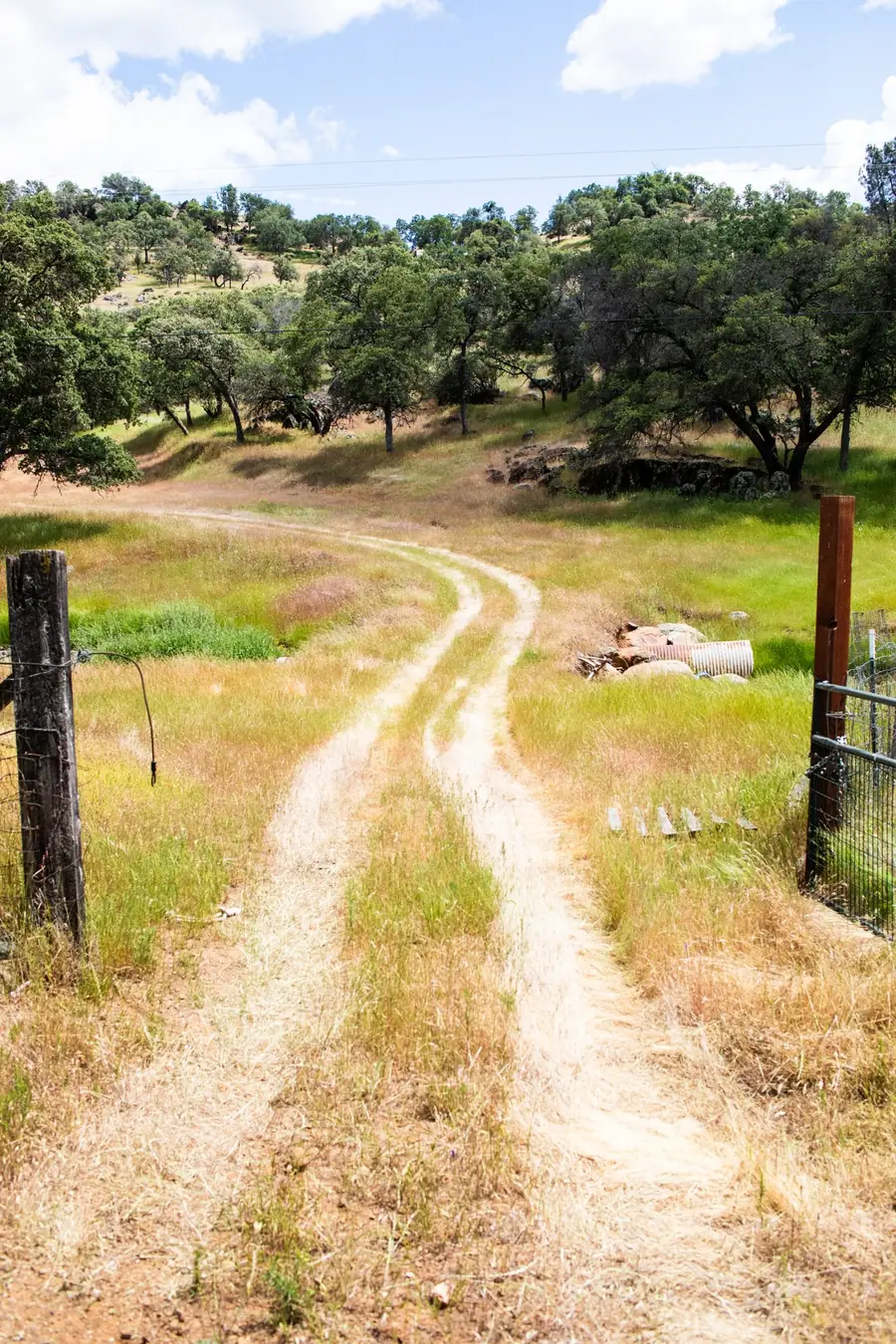 A dirt two-track ranch road between fence posts
