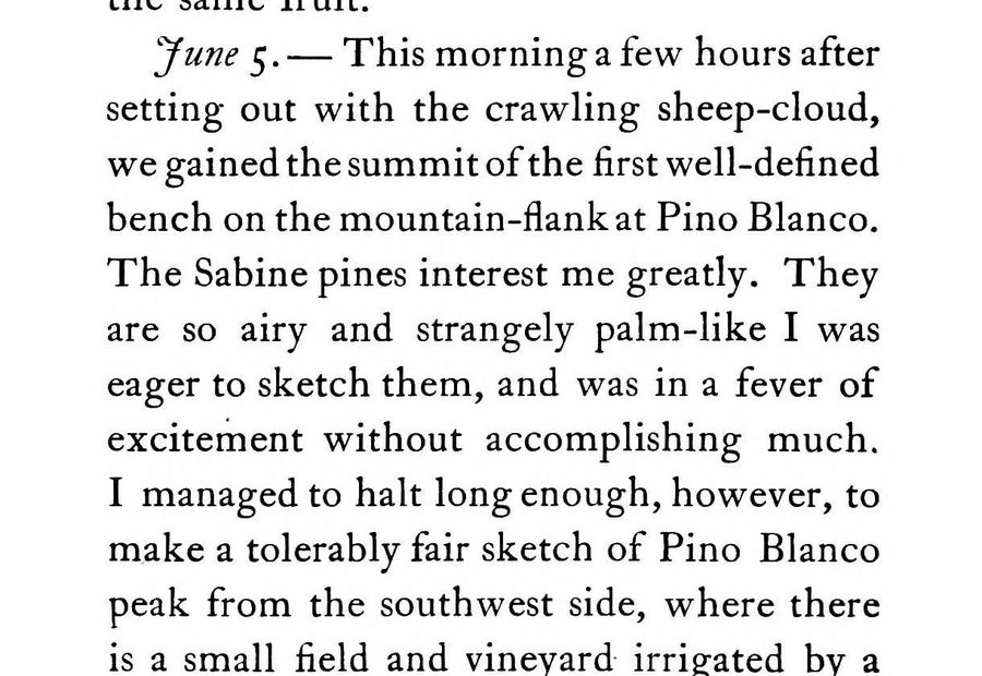 Muir's June 5 entry: we gained the summit of the first well-defined bench on the mountain-flank at Pino Blanco