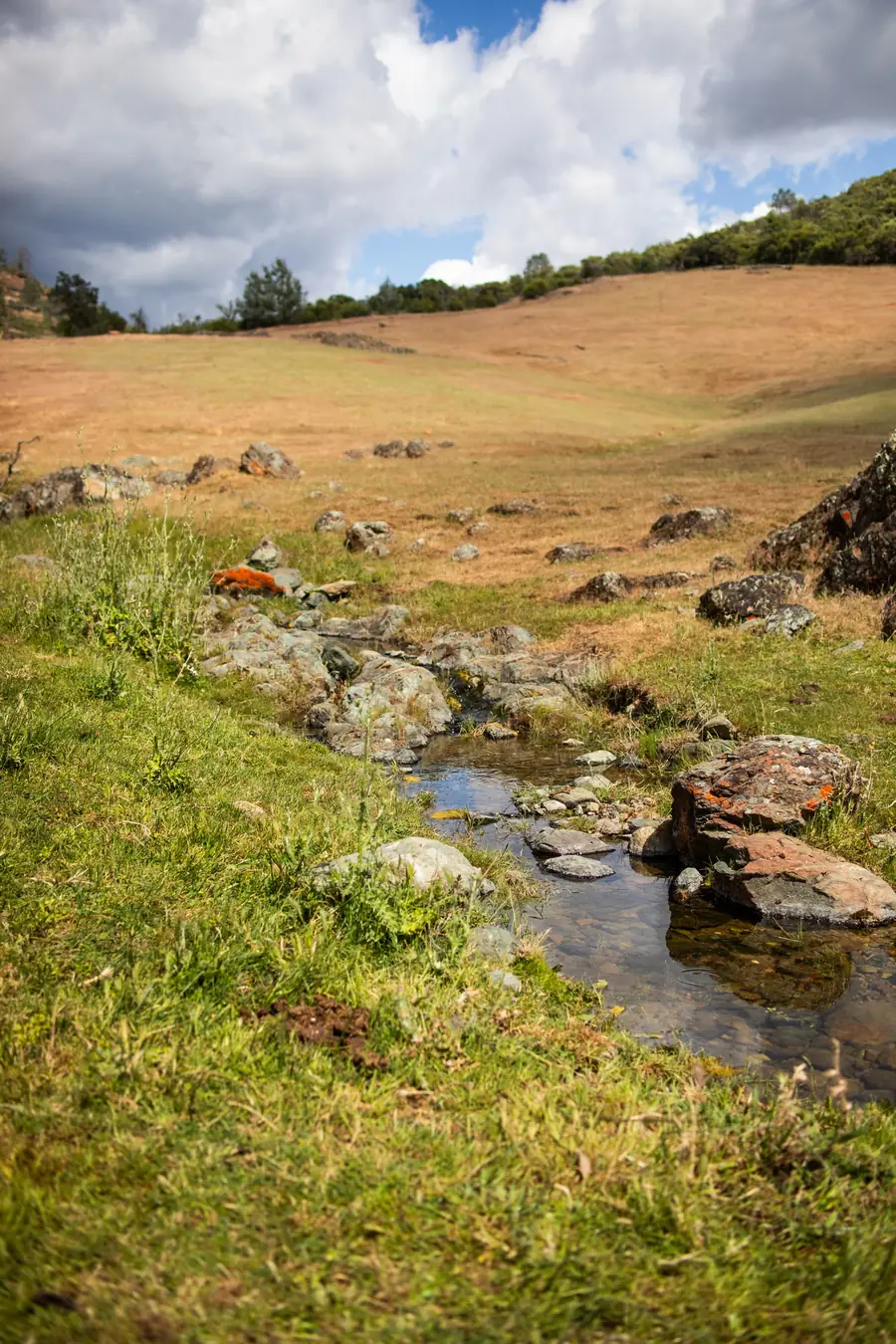 Spring water running through a rocky channel in a green meadow below golden hills