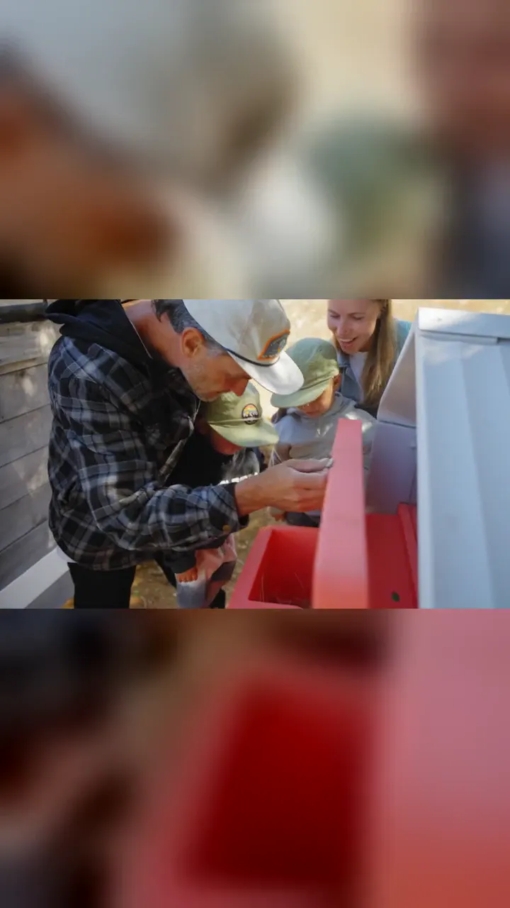 A family feeding the chickens and finding fresh eggs