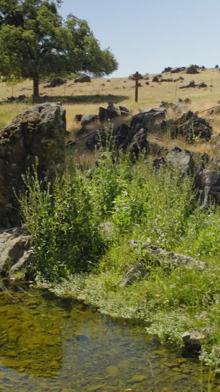 A clear creek pool among granite slabs and green growth between boulders